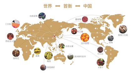 枝葉關(guān)情暖民生，首衡城聚貿(mào)易興——孝南區(qū)第二屆網(wǎng)評(píng)大賽東湖評(píng)論